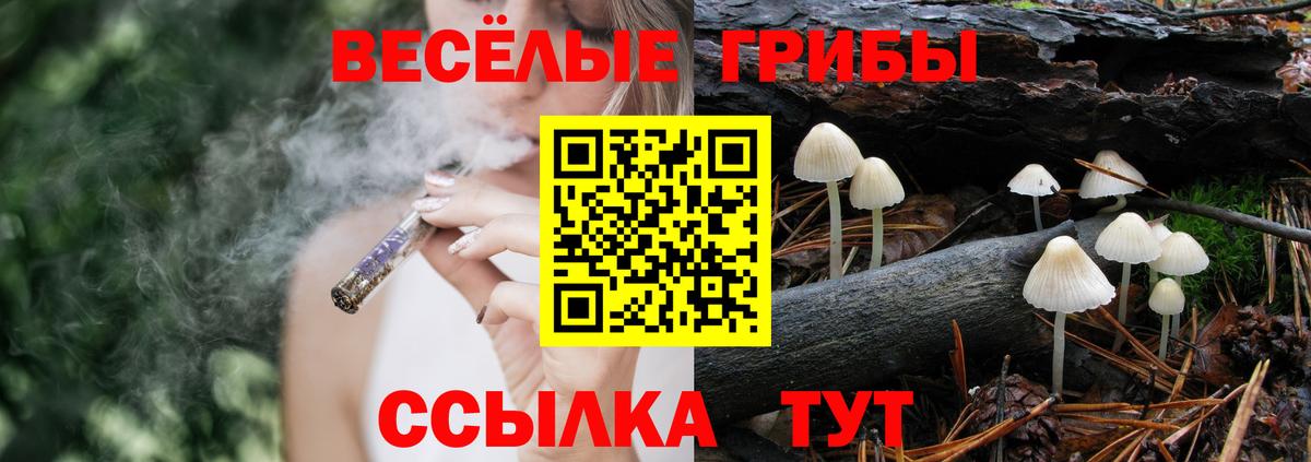 Галлюциногенные грибы GOLDEN TEACHER Сосновоборск